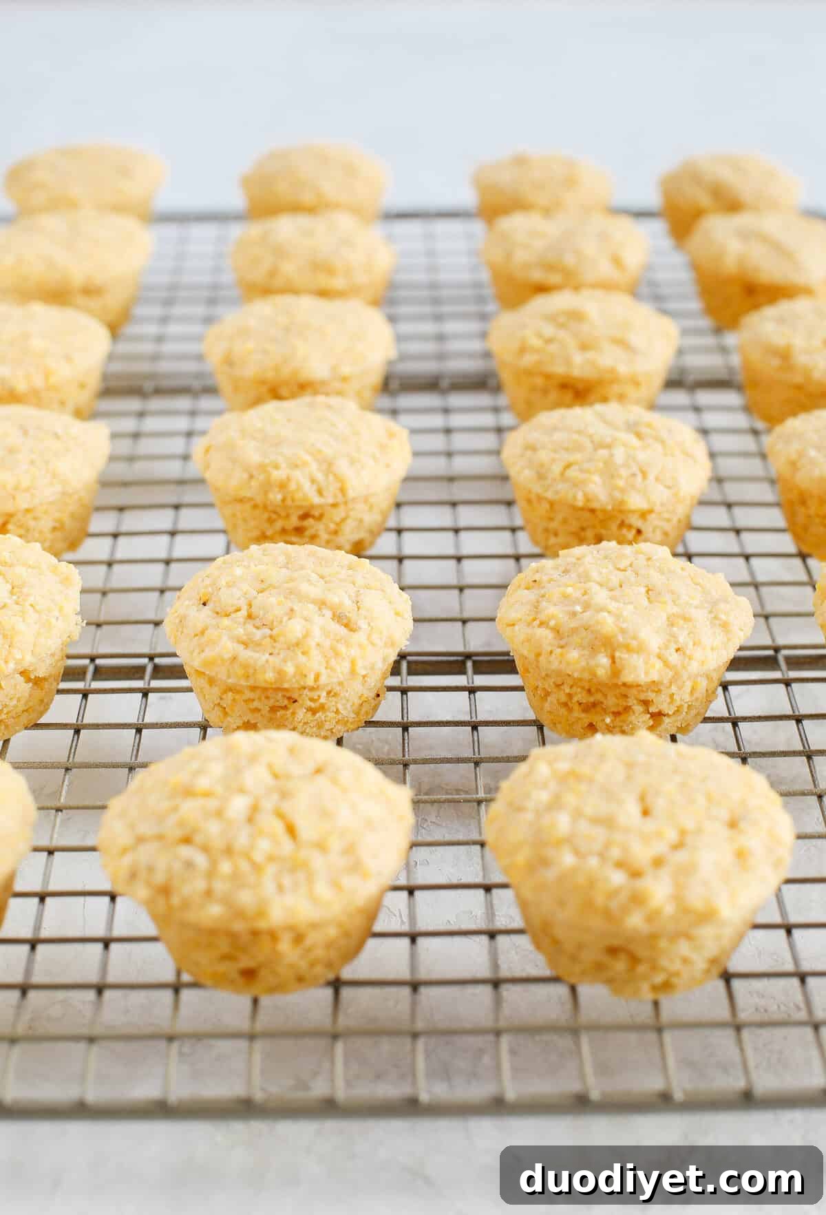Moist and Fluffy Honey Cornbread Mini Muffins! #dairyfree #vegan 