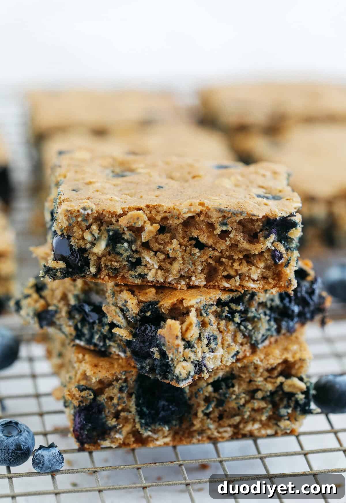 Homemade Blueberry Oatmeal Breakfast Bars Recipe 3 Blueberry Oatmeal Breakfast Bars