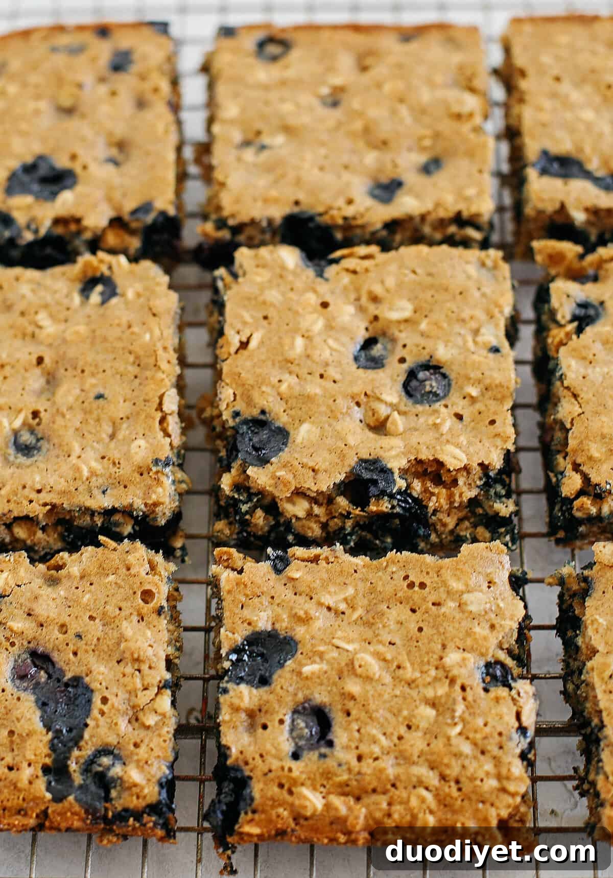 Homemade Blueberry Oatmeal Breakfast Bars Recipe 4 Blueberry Oatmeal Breakfast Bars