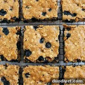 Homemade Blueberry Oatmeal Breakfast Bars Recipe 5 Small photo of blueberry oatmeal bars