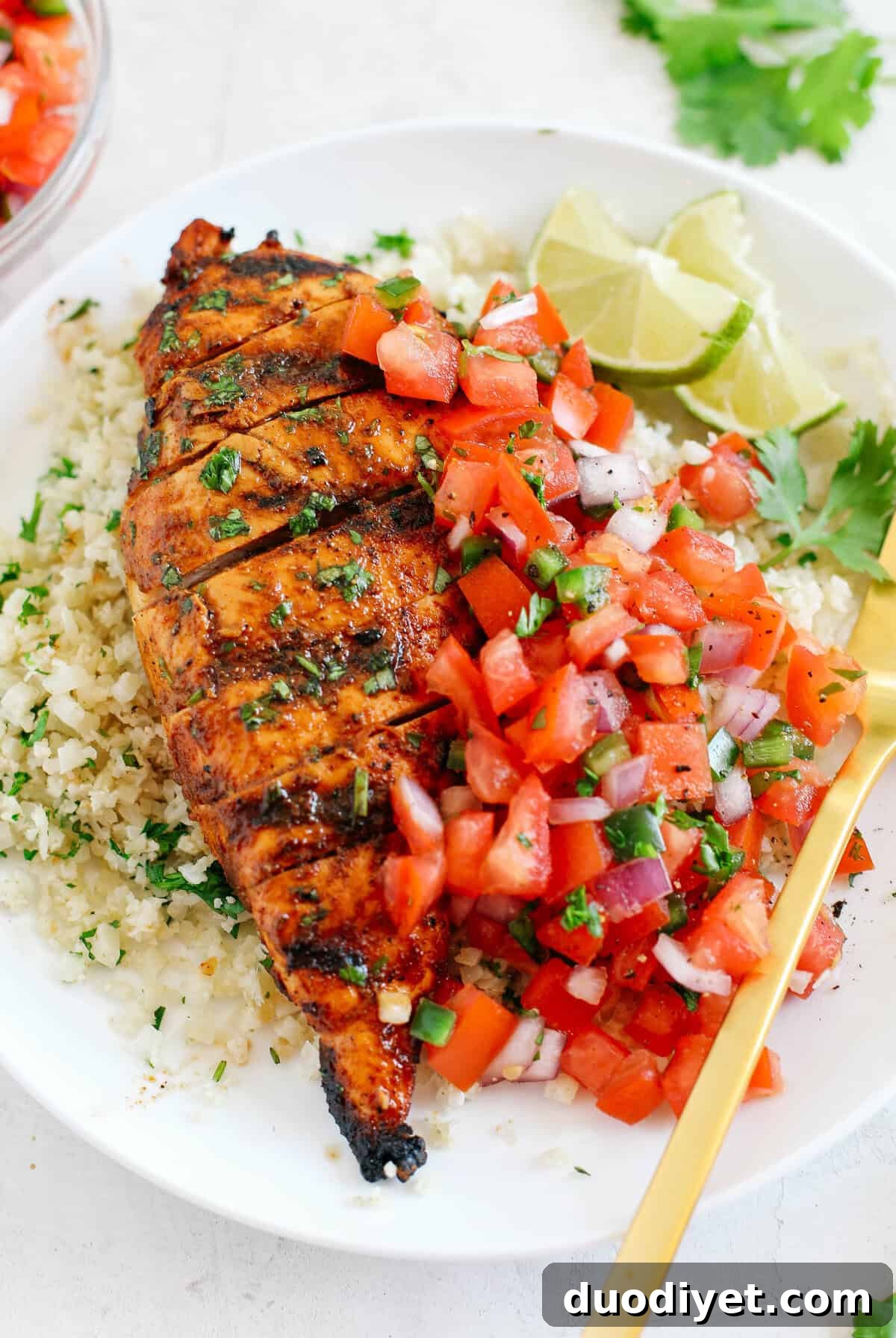Grilled chili lime chicken ready to serve with salsa and rice