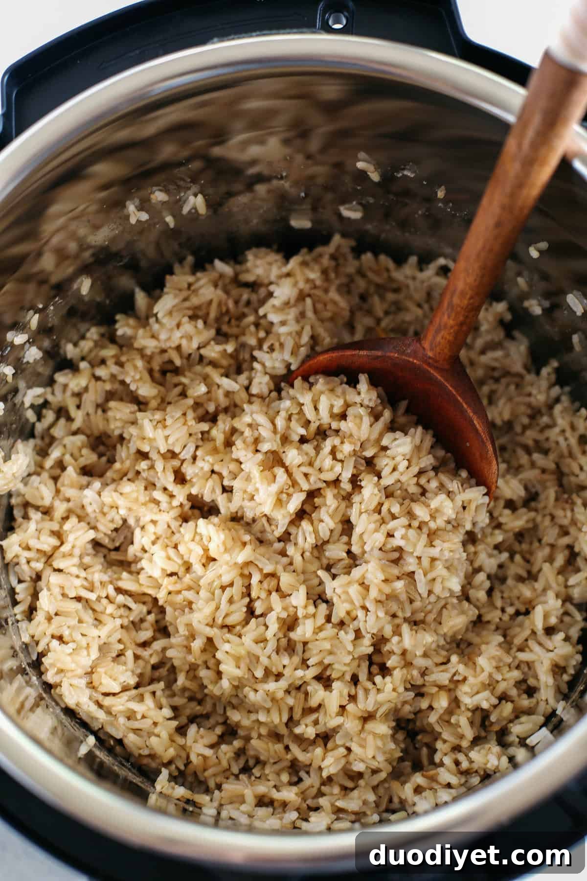 Instant Pot brown rice ready for meal prep