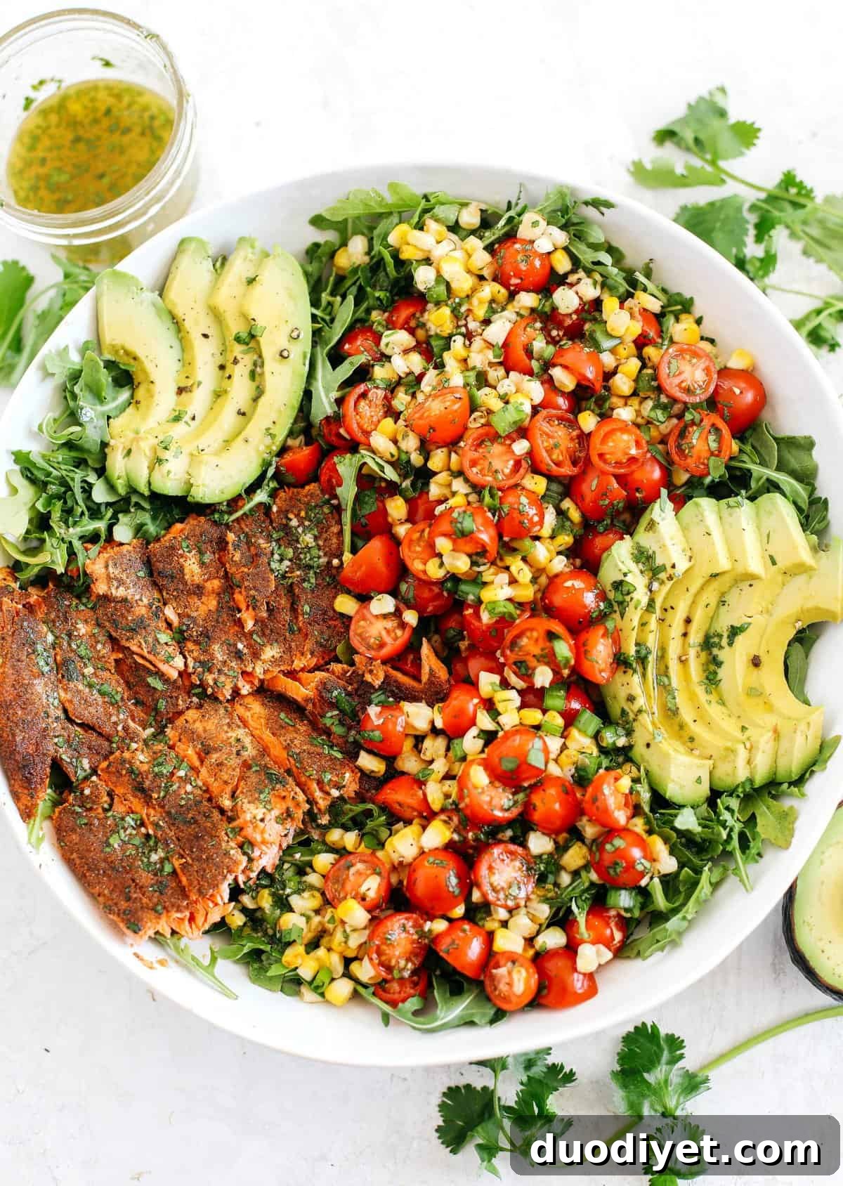 Chili-rubbed salmon with grilled corn, fresh tomatoes and sliced avocado all tossed together with a cilantro-lime dressing makes the perfect summer salad!