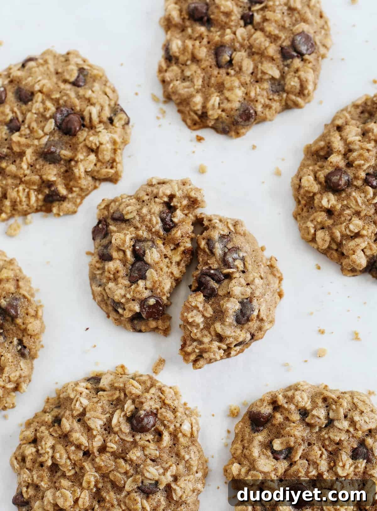 Oatmeal Chocolate Chip Cookie Ice Cream Sandwiches Recipe 3 Celebrate the summer with these homemade oatmeal chocolate chip cookie ice cream sandwiches that are dairy-free, vegan and taste just like your childhood!