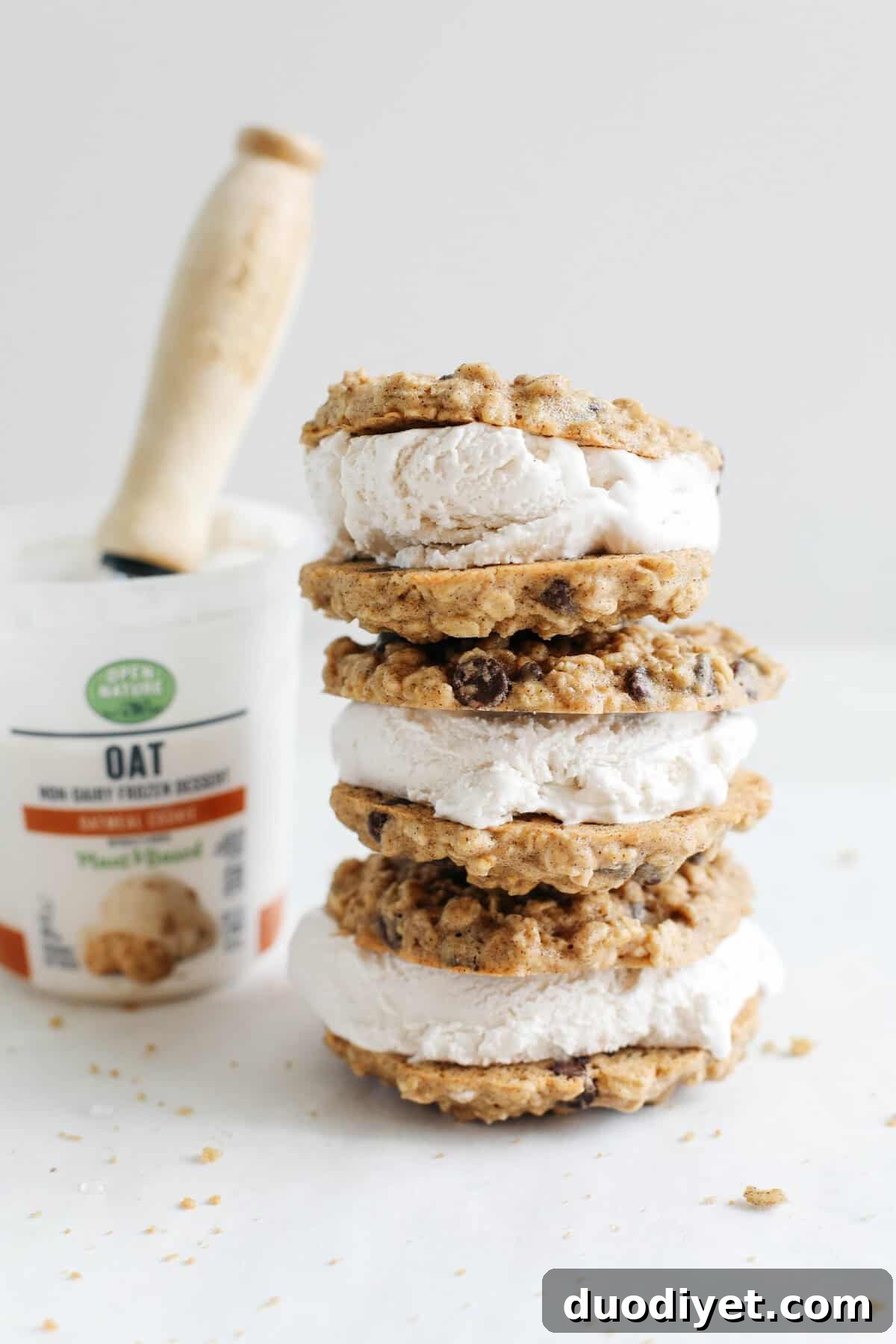 Oatmeal Chocolate Chip Cookie Ice Cream Sandwiches Recipe 7 Celebrate the summer with these homemade oatmeal chocolate chip cookie ice cream sandwiches that are dairy-free, vegan and taste just like your childhood!