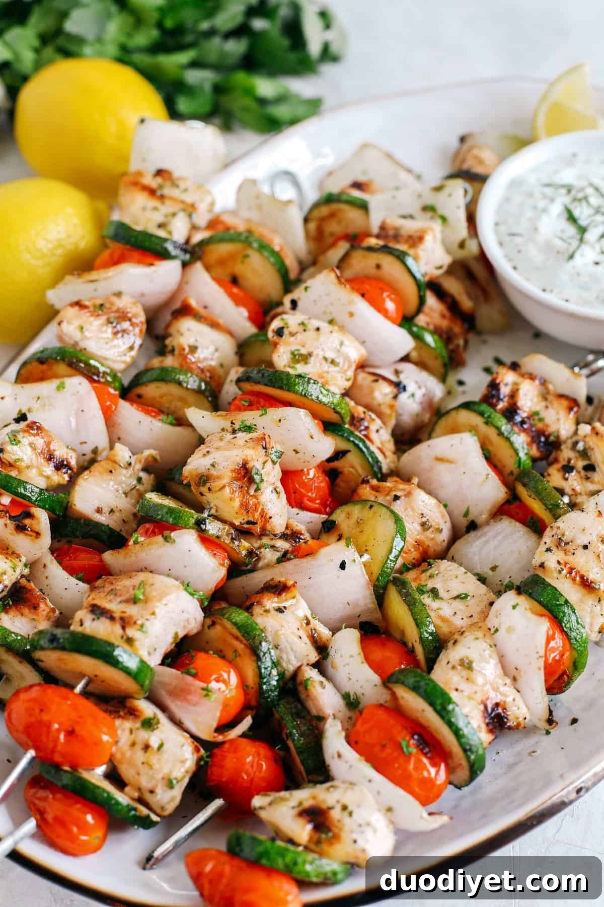Kabobs and tzatziki close-up
