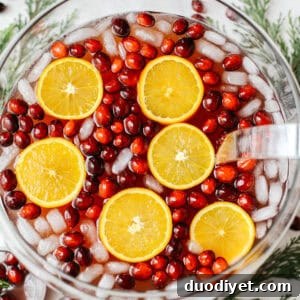 Sparkling Christmas Punch Recipe for Festive Holiday Parties 5 img 16274 5