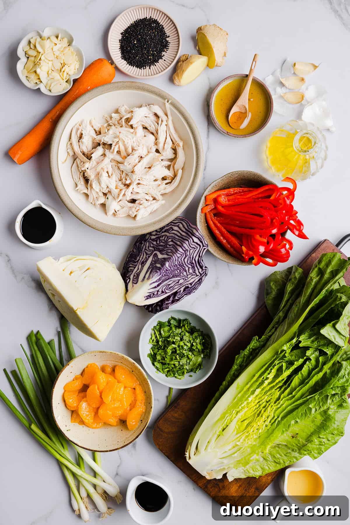 Chinese Chicken Salad with ginger sesame dressing and sliced almonds