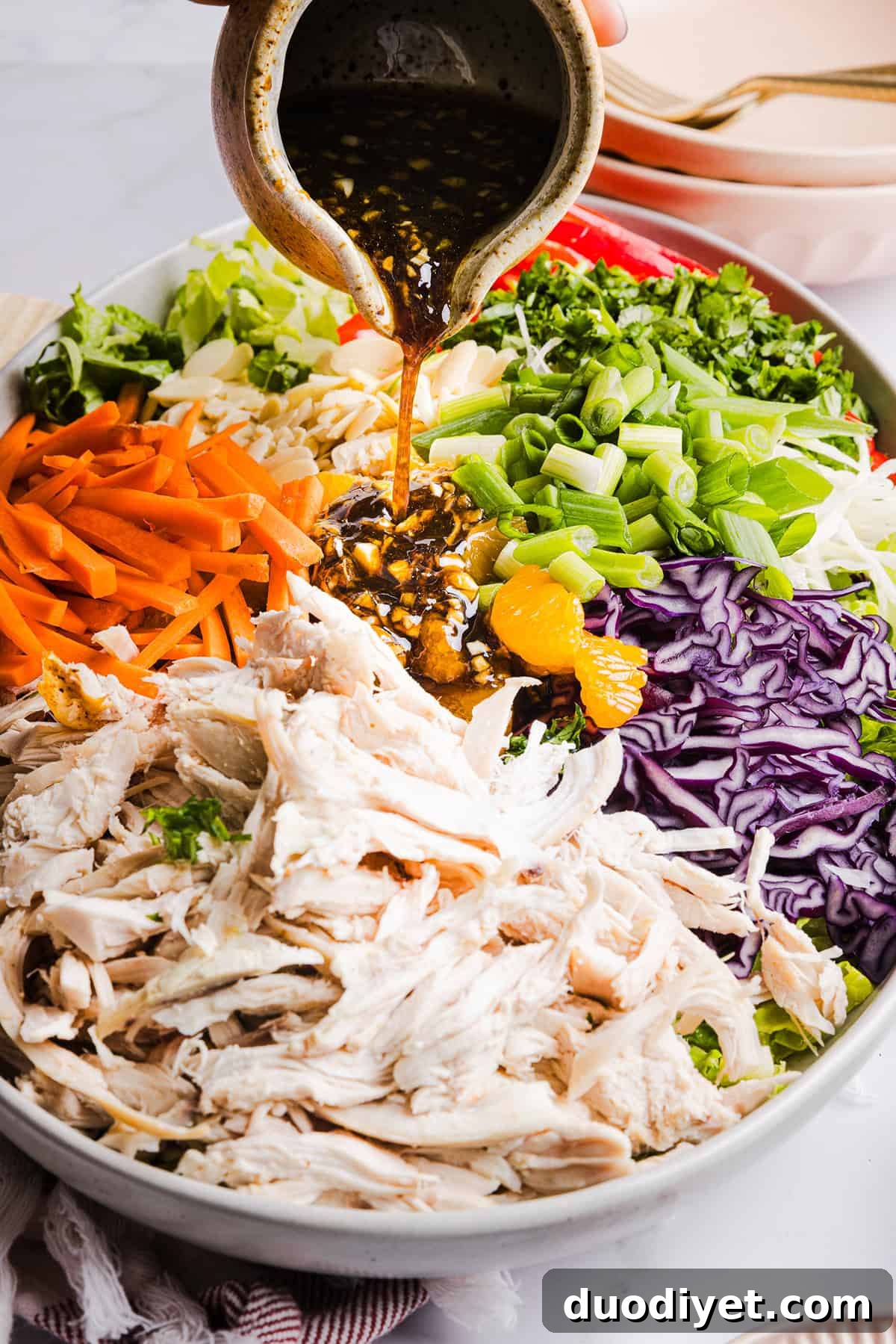 Plated Chinese Chicken Salad with almonds and mandarin oranges