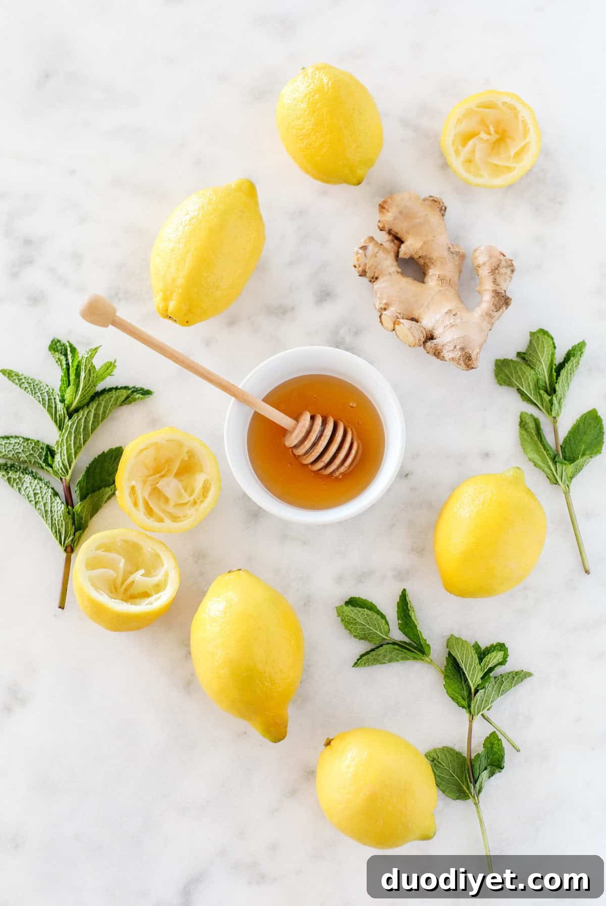 Homemade Honey Ginger Lemonade Recipe 3 Glass of honey ginger lemonade with ice and mint