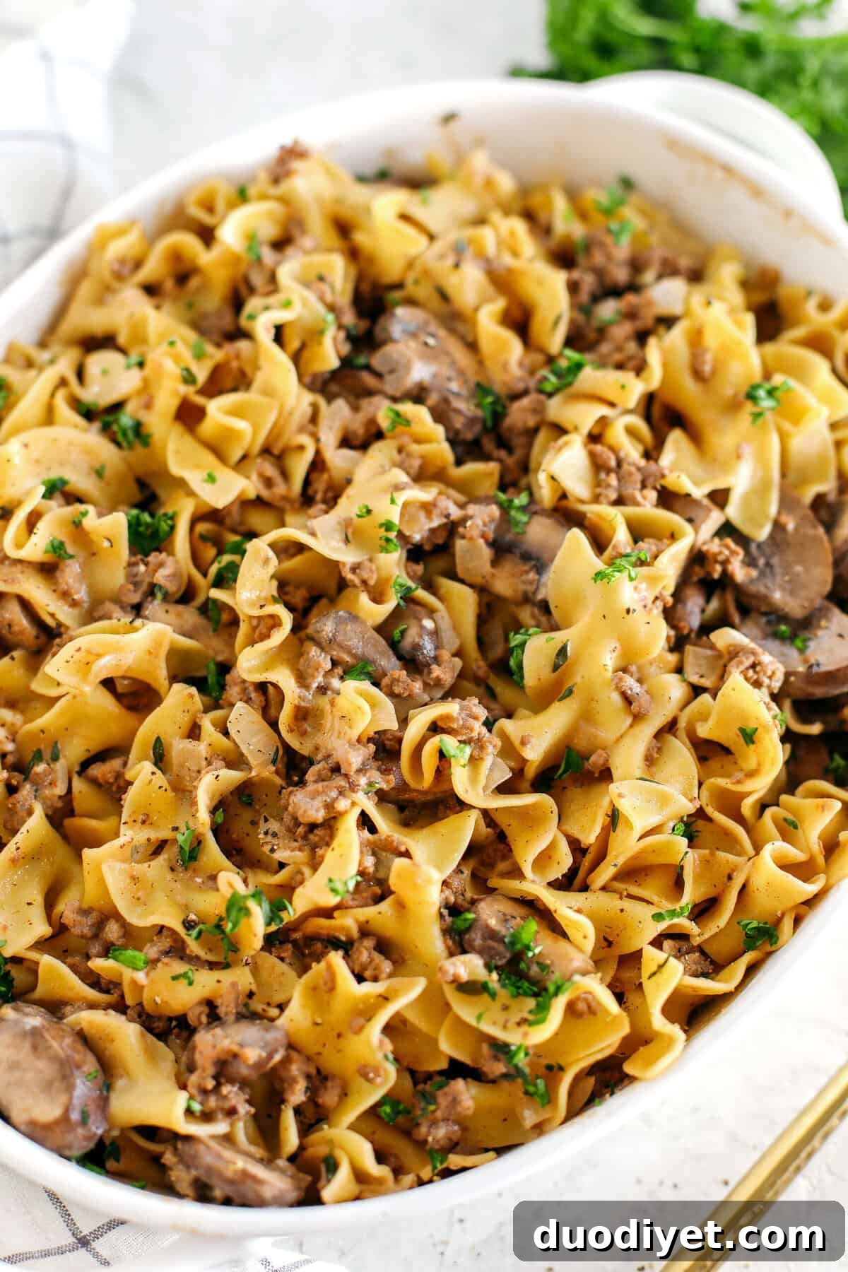 Beef Stroganoff Casserole