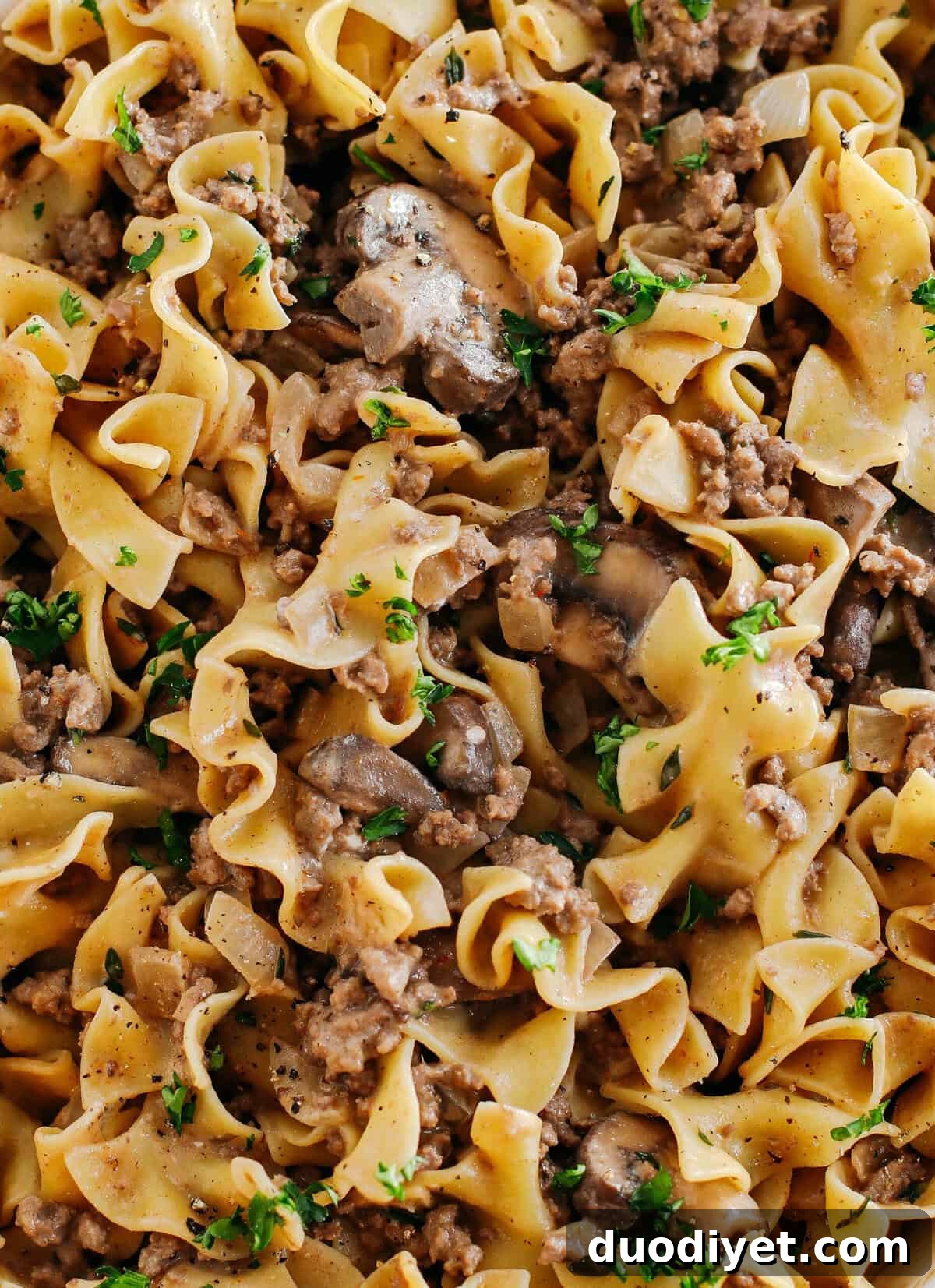 Creamy mushroom and beef stroganoff sauce with noodles