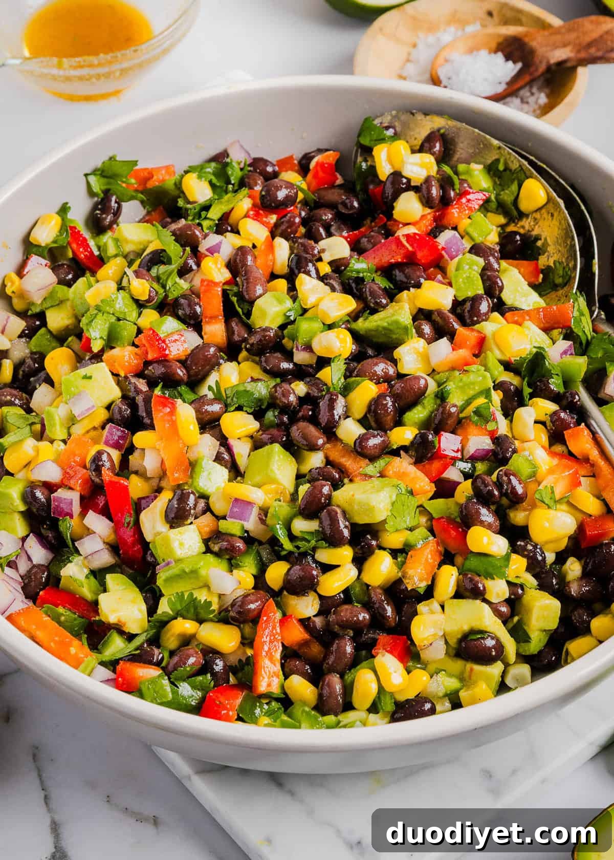 This Black Bean and Corn Salad is loaded with crisp veggies, delicious spices and fresh cilantro, all tossed together in a zesty lime dressing making it the perfect summer side dish or dip!