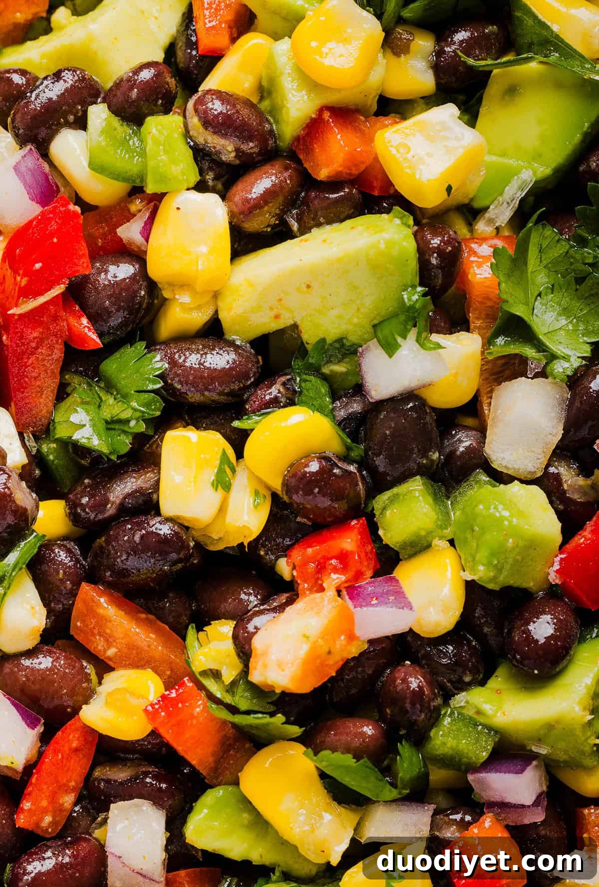 This Black Bean and Corn Salad is loaded with crisp veggies, delicious spices and fresh cilantro, all tossed together in a zesty lime dressing making it the perfect summer side dish or dip!