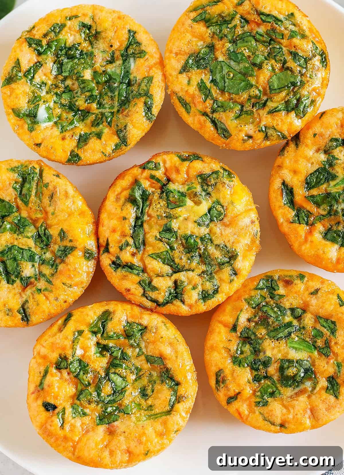 Cheesy Salsa Egg Muffins for Make Ahead Breakfast 6 These Cheesy Salsa Egg Muffins make the perfect healthy breakfast that are packed with flavor, simple to make and can easily be grabbed on-the-go!