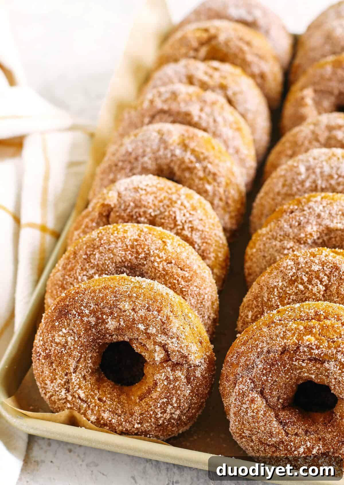 Gluten-Free Pumpkin Spice Donuts - soft, baked donuts coated in cinnamon sugar