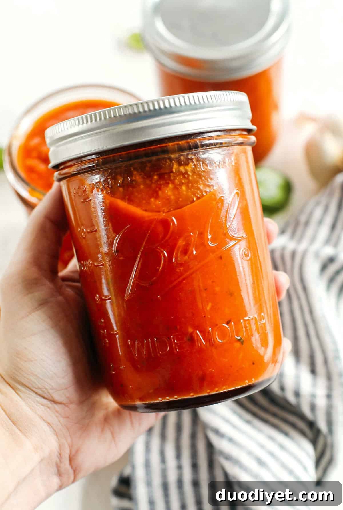 Chunky Vegetable Tomato Sauce Recipe for Pasta 5 This Loaded Veggie Tomato Sauce is packed with zucchini, carrots, bell peppers, celery and onions all simmered and blended together for the most delicious marinara that can be used with pasta, meatballs, on top of pizza, as a dipping sauce and so much more!