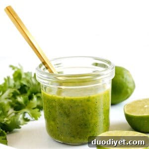 Zesty Cilantro Lime Dressing Recipe 5 img 17985 5