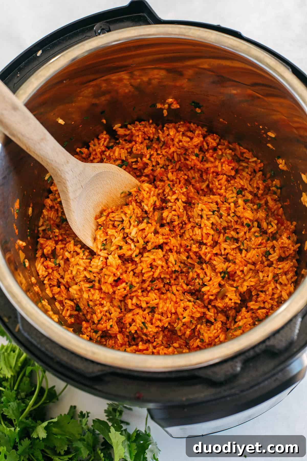 Instant Pot Mexican Brown Rice Recipe 3 Super flavorful Mexican Brown Rice easily made right in your Instant Pot along with your favorite salsa for the perfect side dish that comes out perfectly fluffy and delicious every single time!