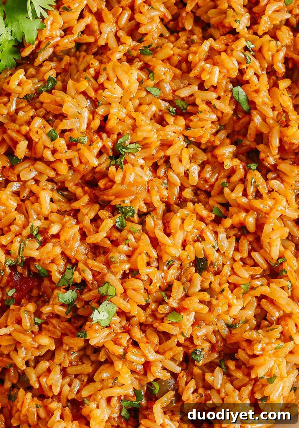 Instant Pot Mexican Brown Rice Recipe 4 Super flavorful Mexican Brown Rice easily made right in your Instant Pot along with your favorite salsa for the perfect side dish that comes out perfectly fluffy and delicious every single time!