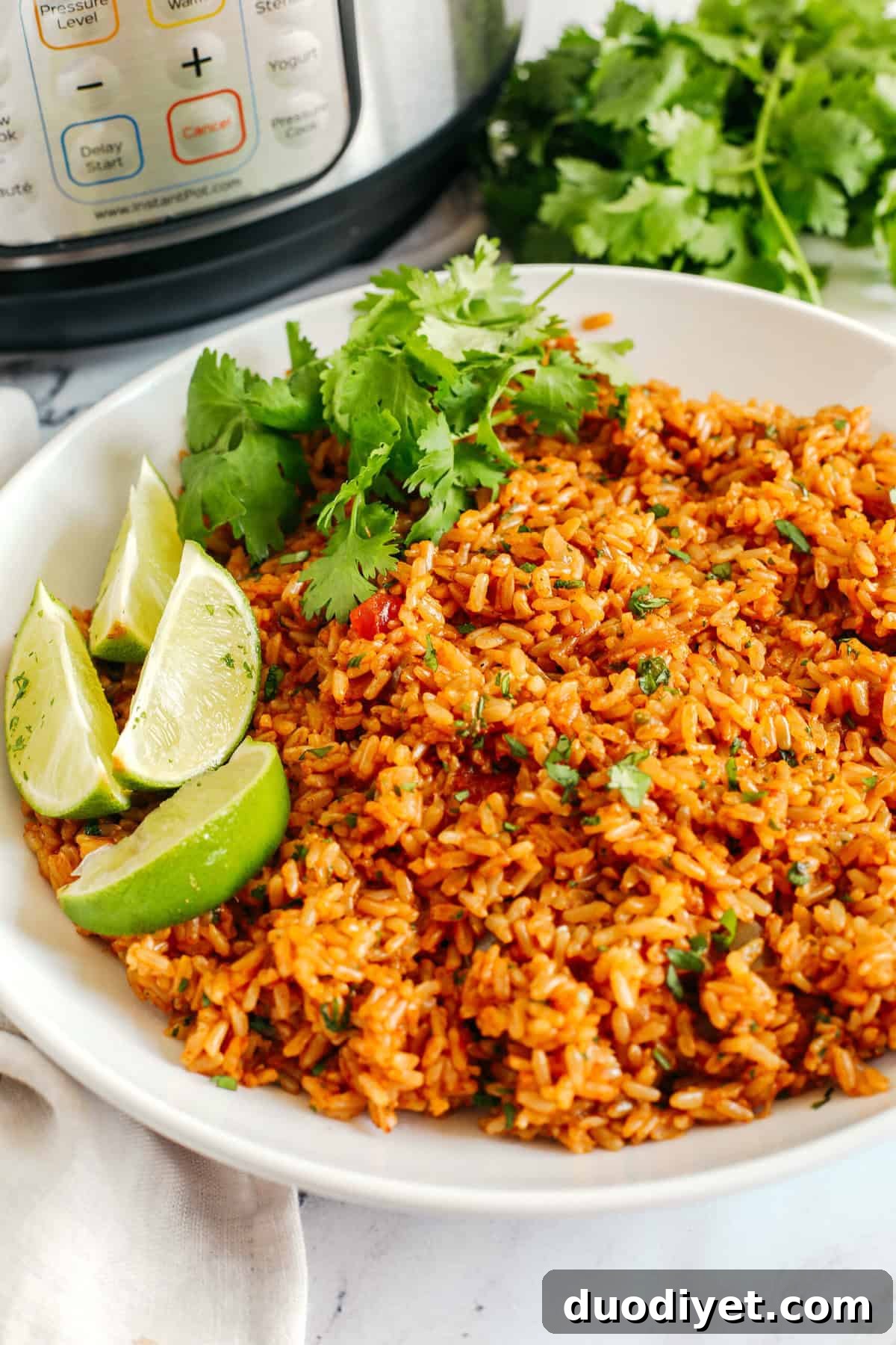 Instant Pot Mexican Brown Rice Recipe 5 Super flavorful Mexican Brown Rice easily made right in your Instant Pot along with your favorite salsa for the perfect side dish that comes out perfectly fluffy and delicious every single time!