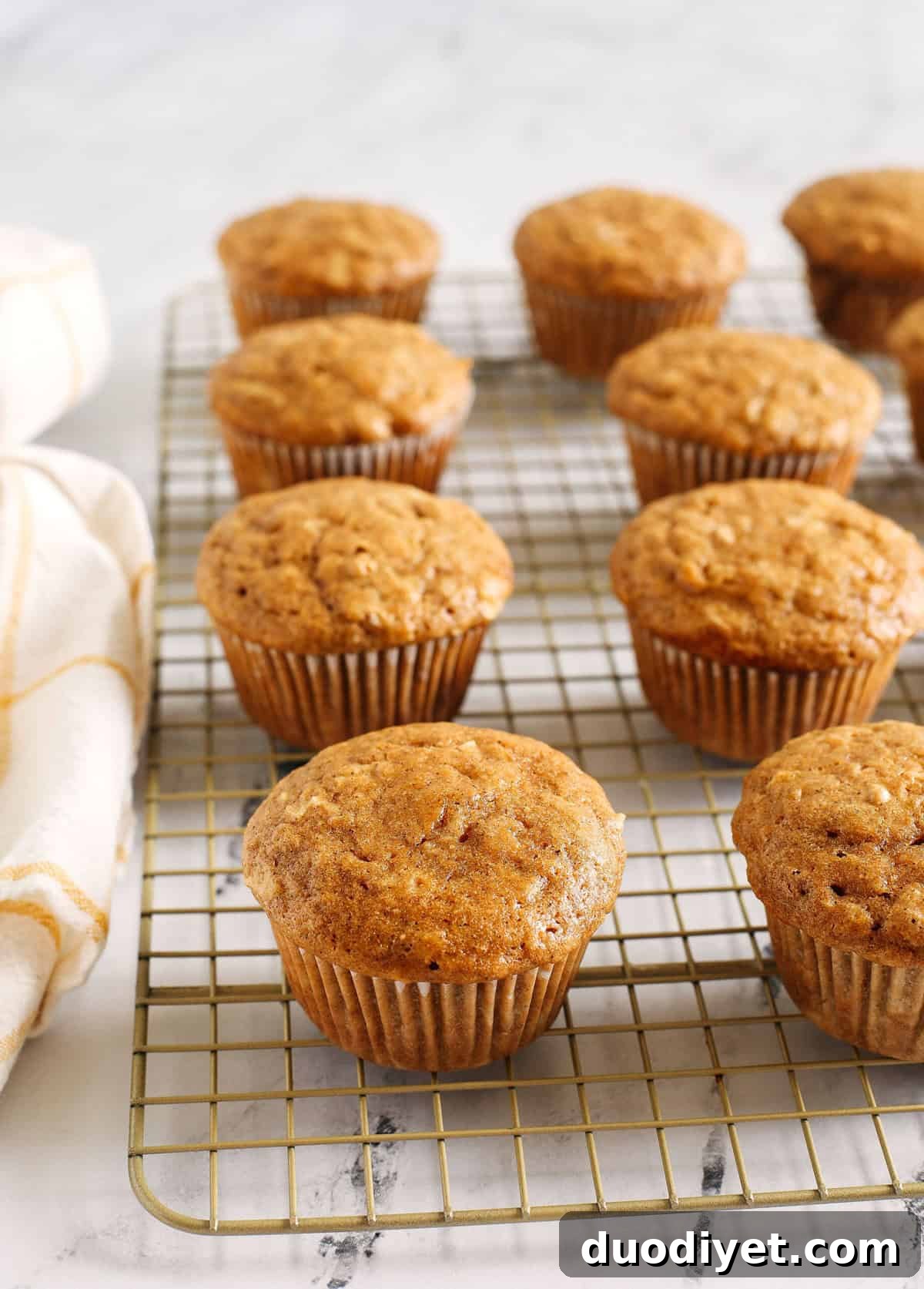 These Healthy Apple Cinnamon Muffins are moist, fluffy, and made healthier with whole wheat flour, Greek yogurt, and zero butter or refined sugar! Loaded with delicious chunks of apple and warm spices for the perfect fall muffin!