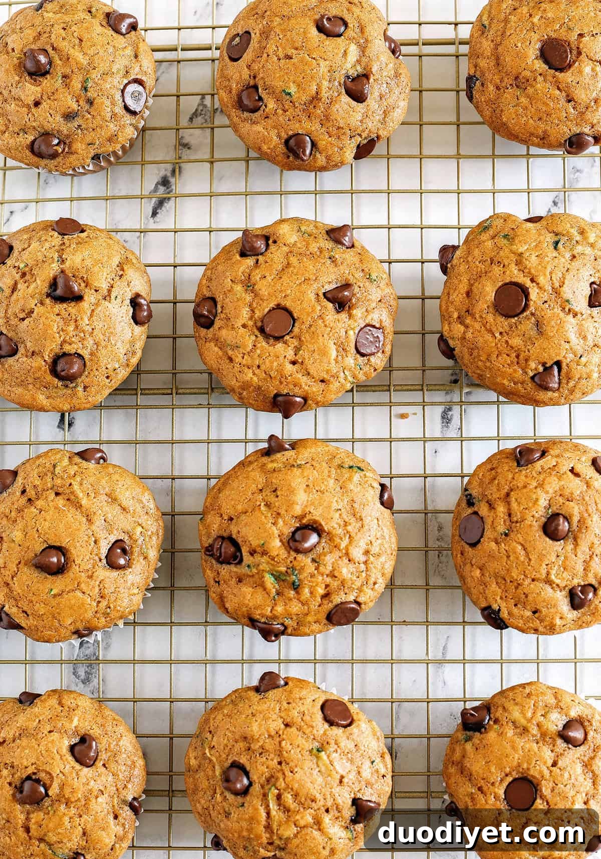 These Chocolate Chip Zucchini Muffins are moist, fluffy, and made healthier with whole wheat flour, Greek yogurt, shredded zucchini and zero butter or refined sugar. Loaded with warm flavors and chunks of chocolate in every bite!