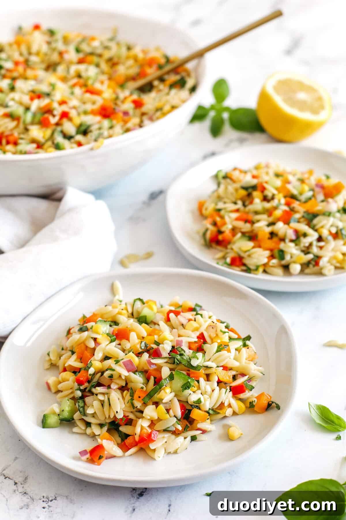 This Rainbow Orzo Salad makes the perfect summer side dish!  Loaded with colorful veggies, fresh herbs and tender orzo pasta, all tossed together with a delicious lemon herb dressing and easily made in just minutes!