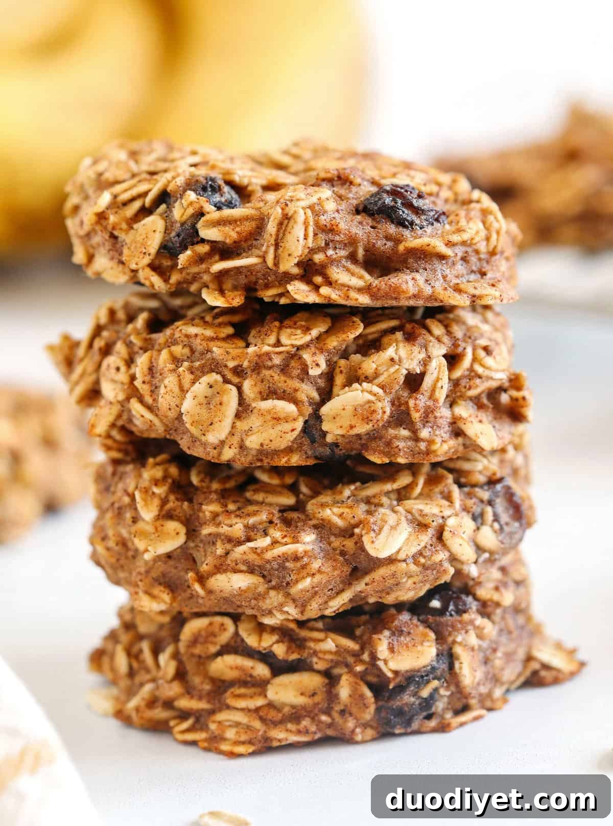 Banana Oatmeal Breakfast Cookies for On the Go Mornings 2 Chewy and delicious Healthy Banana Oatmeal Breakfast Cookies easily made with simple, wholesome ingredients, studded with raisins and naturally sweetened for the perfect healthy cookie you can enjoy for breakfast or serve as an after school snack!