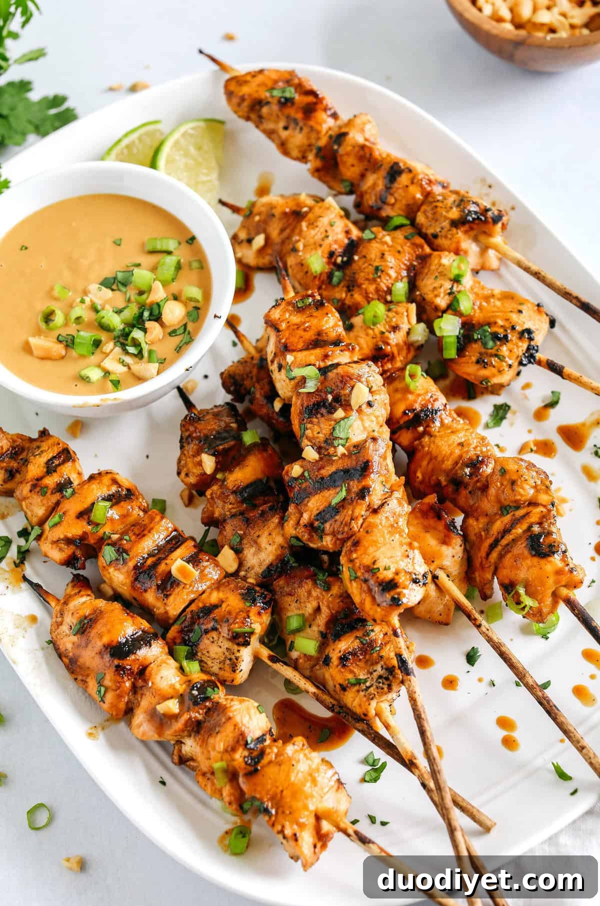 Tender and juicy Chicken Satay marinated in the most delicious peanut ginger sauce and grilled to perfection for the perfect easy weeknight dinner! Serve over rice or salad and drizzled with my homemade peanut sauce.