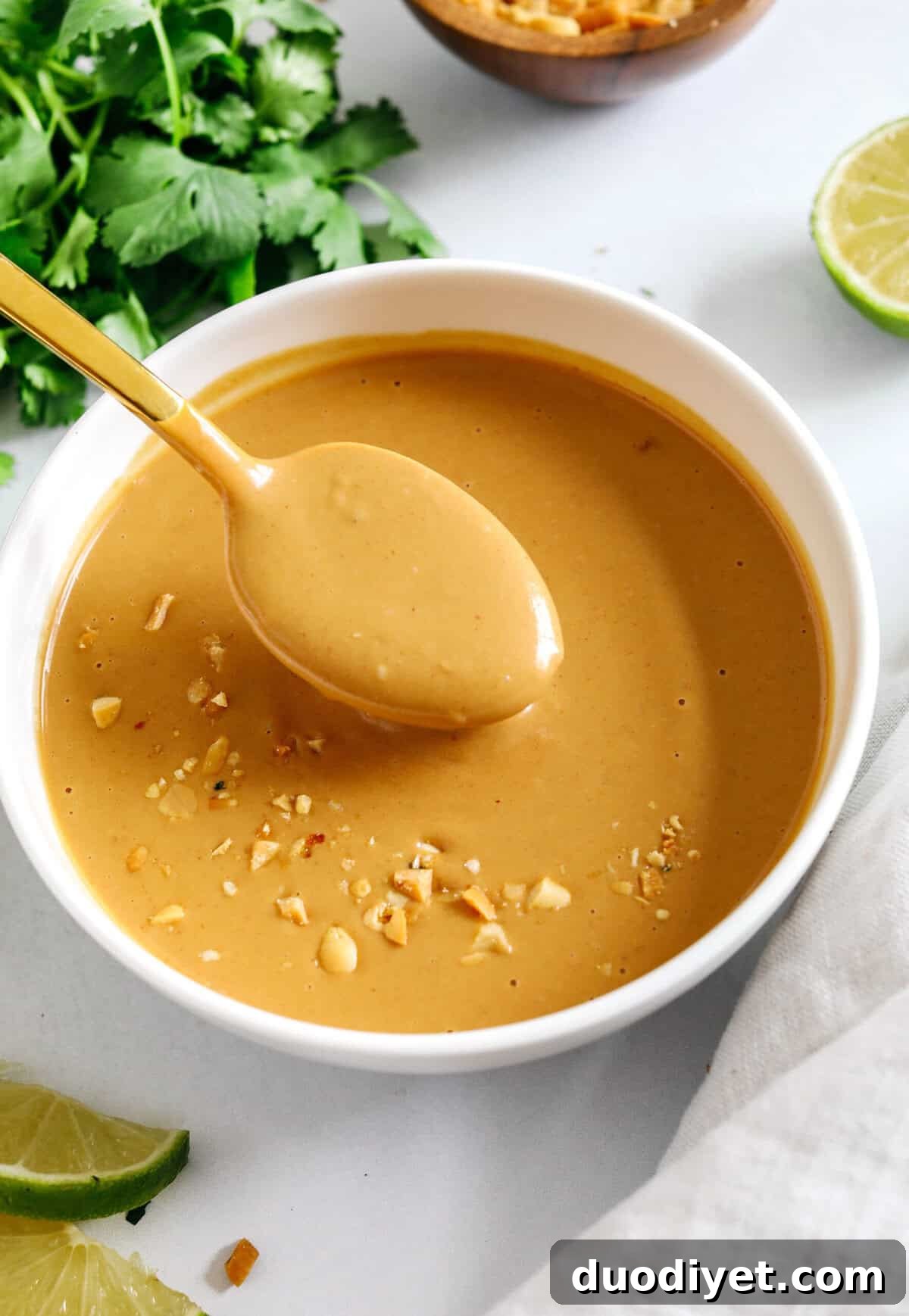 Homemade Peanut Dipping Sauce Recipe for Satay and Spring Rolls 2 Peanut Dipping Sauce with garlic, ginger, lime and honey