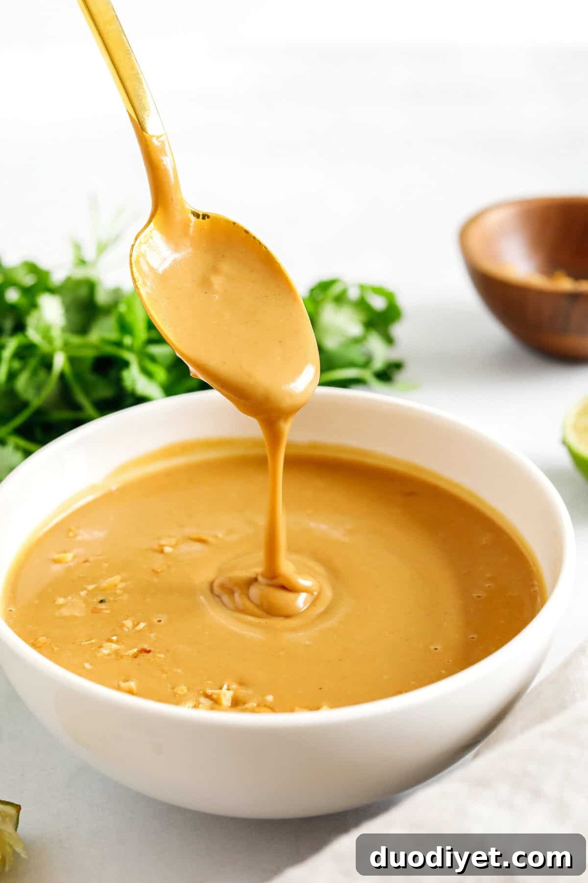 Homemade Peanut Dipping Sauce Recipe for Satay and Spring Rolls 3 Peanut Dipping Sauce on a spoon