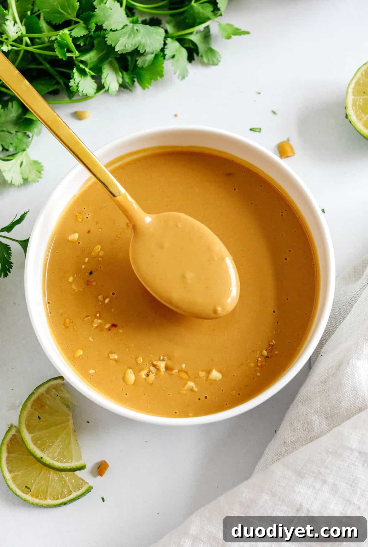 Peanut Sauce Recipe for Satay and Spring Rolls 5 Peanut sauce served as a dip with vegetables