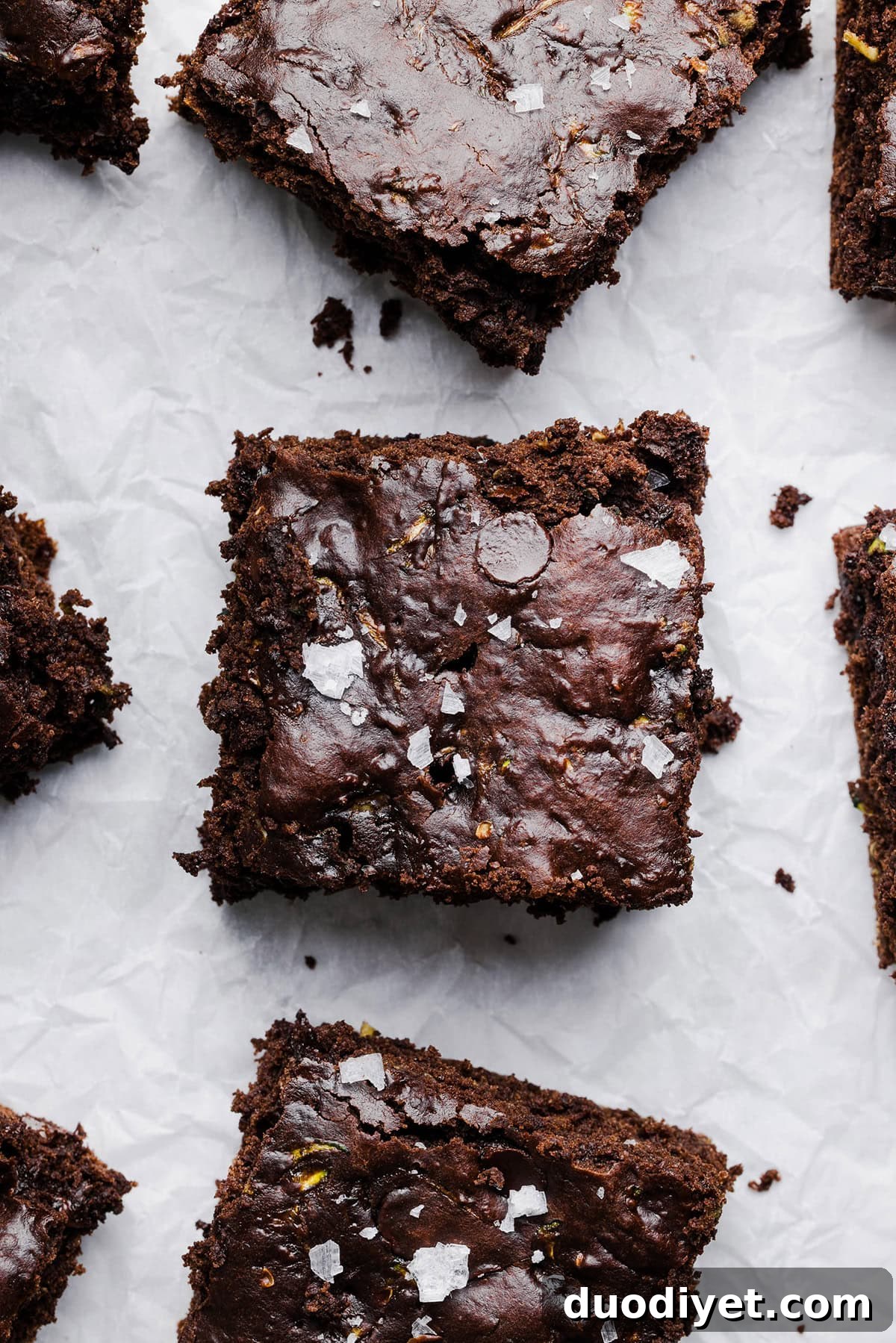 Fudgy Zucchini Brownies Recipe with Rich Chocolate 2 These Fudgy Zucchini Brownies are deliciously moist with a rich chocolate taste loaded with shredded zucchini and made healthier with zero butter or refined sugar! One of our family's favorite summer desserts!