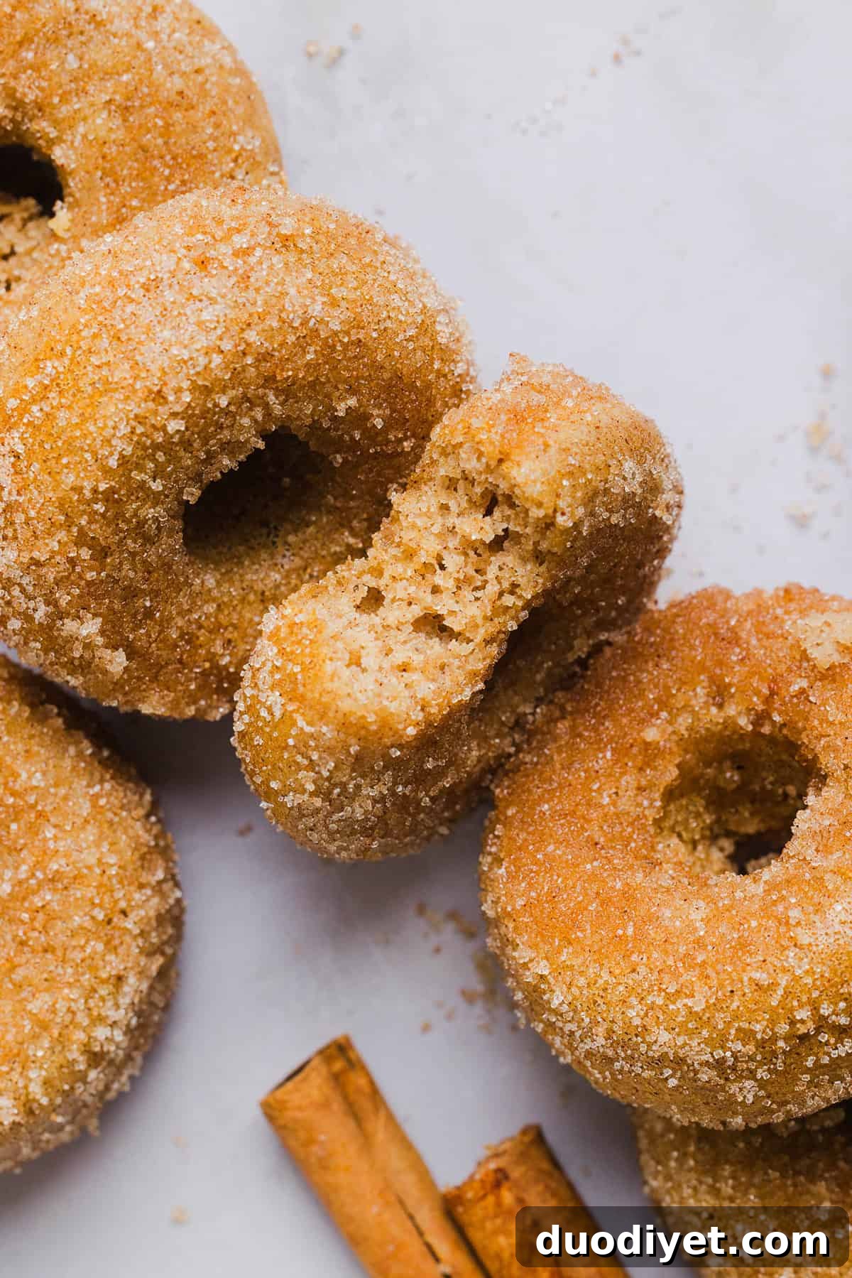 A plate of baked apple cider donuts ready to serve