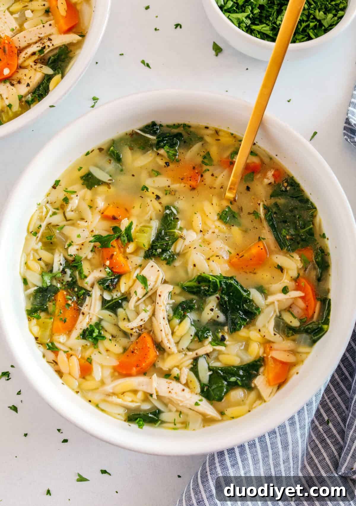 Lemony Chicken and Orzo Soup Recipe 2 Easy and delicious Lemon Chicken Orzo Soup loaded with tender chicken, fresh veggies, and leafy greens all simmered in the most flavorful broth! Easily made in one pot for a cozy weeknight dinner the whole family will love!