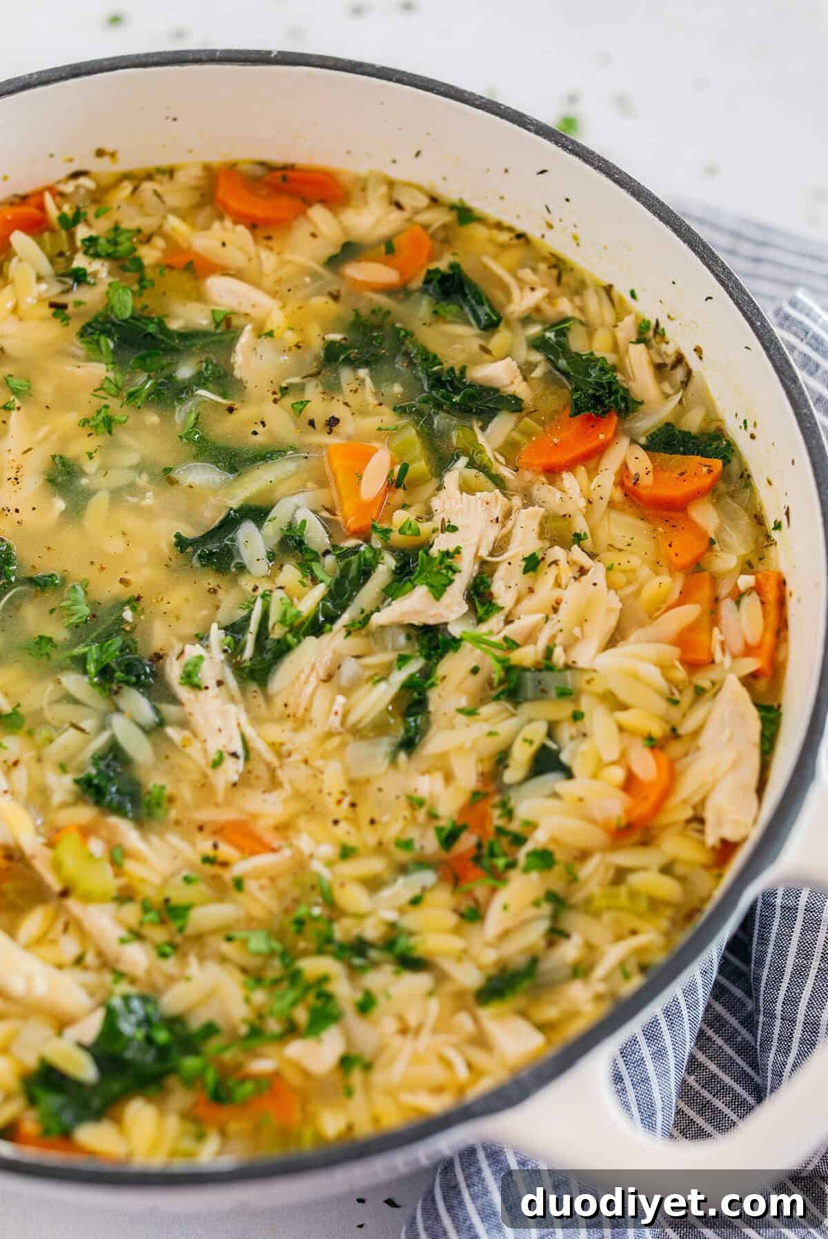 Lemony Chicken and Orzo Soup Recipe 3 Easy and delicious Lemon Chicken Orzo Soup loaded with tender chicken, fresh veggies, and leafy greens all simmered in the most flavorful broth! Easily made in one pot for a cozy weeknight dinner the whole family will love!
