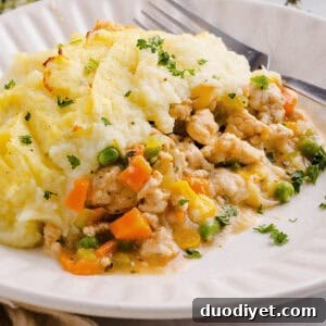 Small photo of turkey shepherd's pie