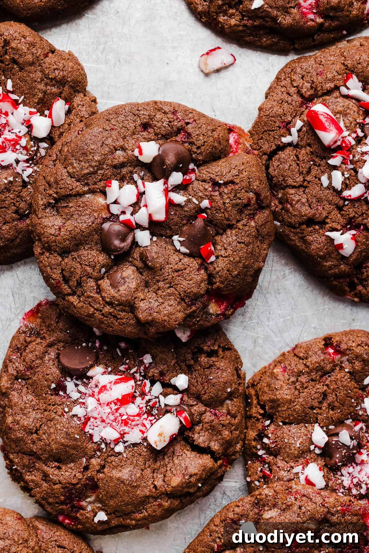Chewy Chocolate Peppermint Cookies - rich, fudgy cookies with crushed candy cane topping