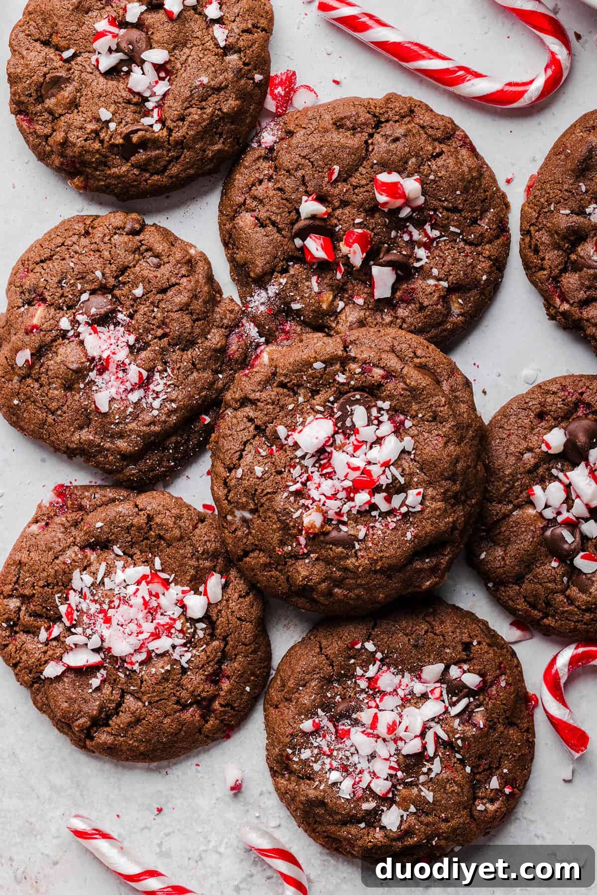 Cookies cooling on wire rack with extra crushed candy canes