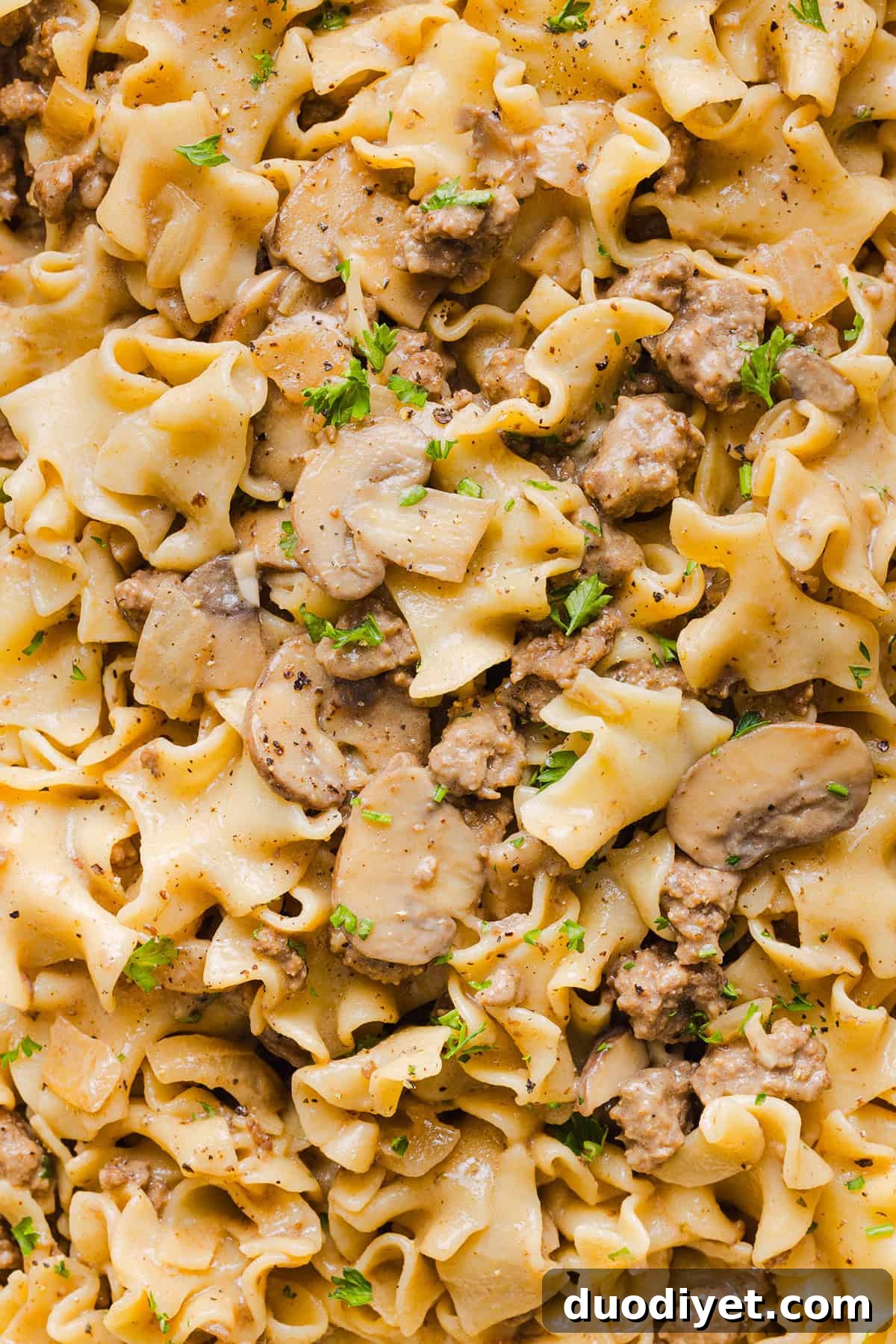 Served ground beef stroganoff topped with parsley