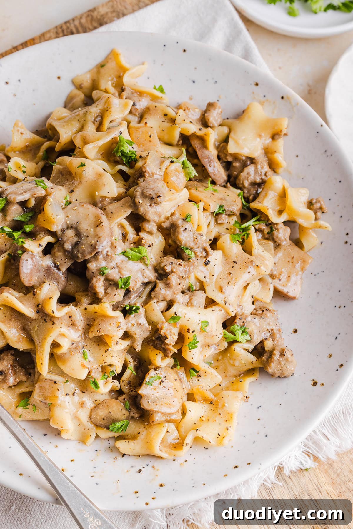 Bowl of stroganoff with parsley garnish
