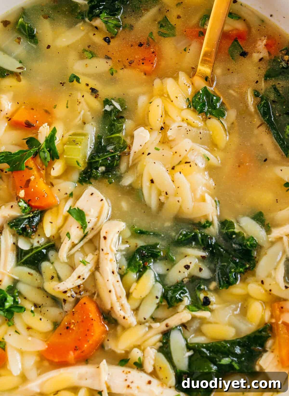 Looking for easy, healthy dinners the whole family will love? I've got you covered with 10 of my most popular healthy dinner recipes that are high in protein, simple to make, and perfect for busy weeknights. 