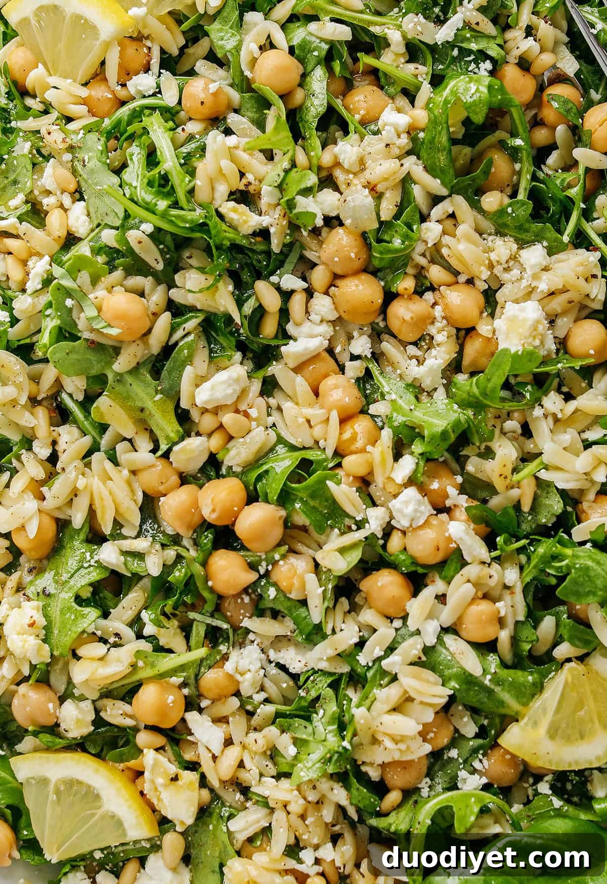 Zesty Lemon Arugula Orzo Salad 5 Served Lemon Arugula Orzo Salad with toasted pine nuts