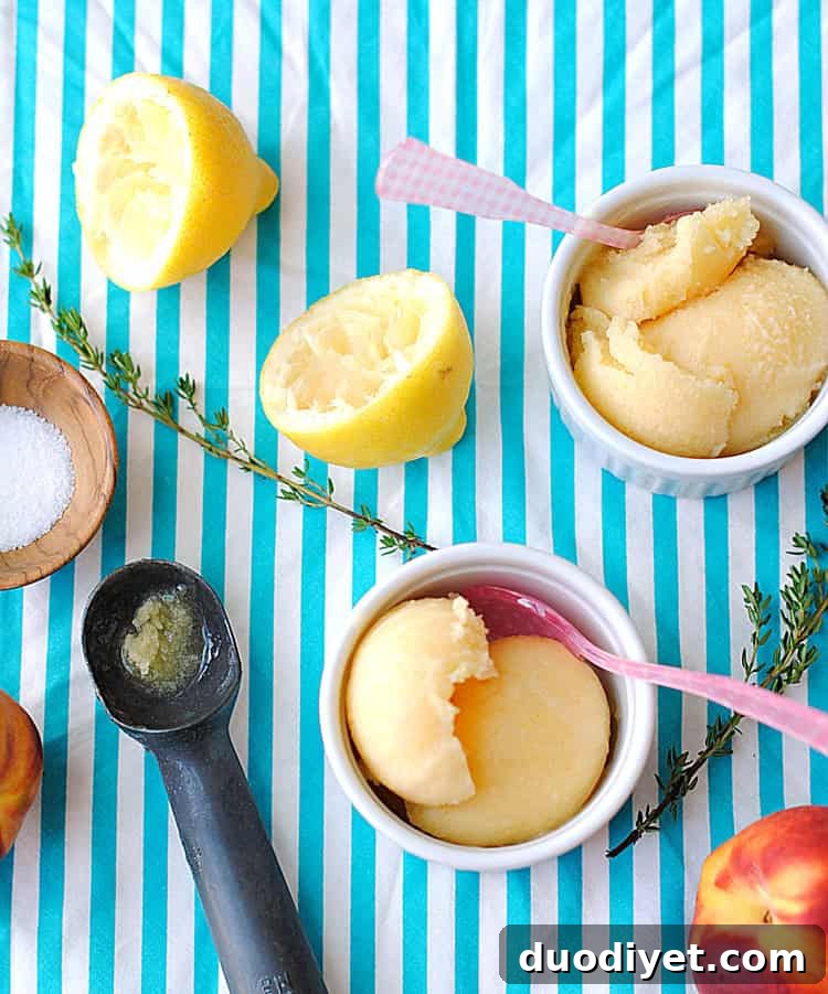 Homemade peach sorbet