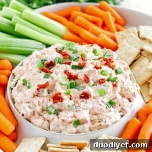 Creamy Sun Dried Tomato Dip Recipe with Garlic and Basil 4 Sun Dried Tomato Dip