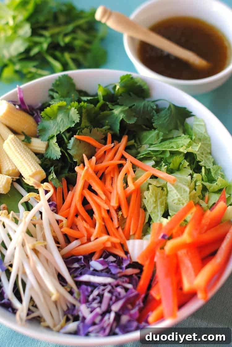 Crunchy Asian Chicken Salad with Ginger Sesame Dressing 2 Asian Chicken Salad | Eat Yourself Skinny