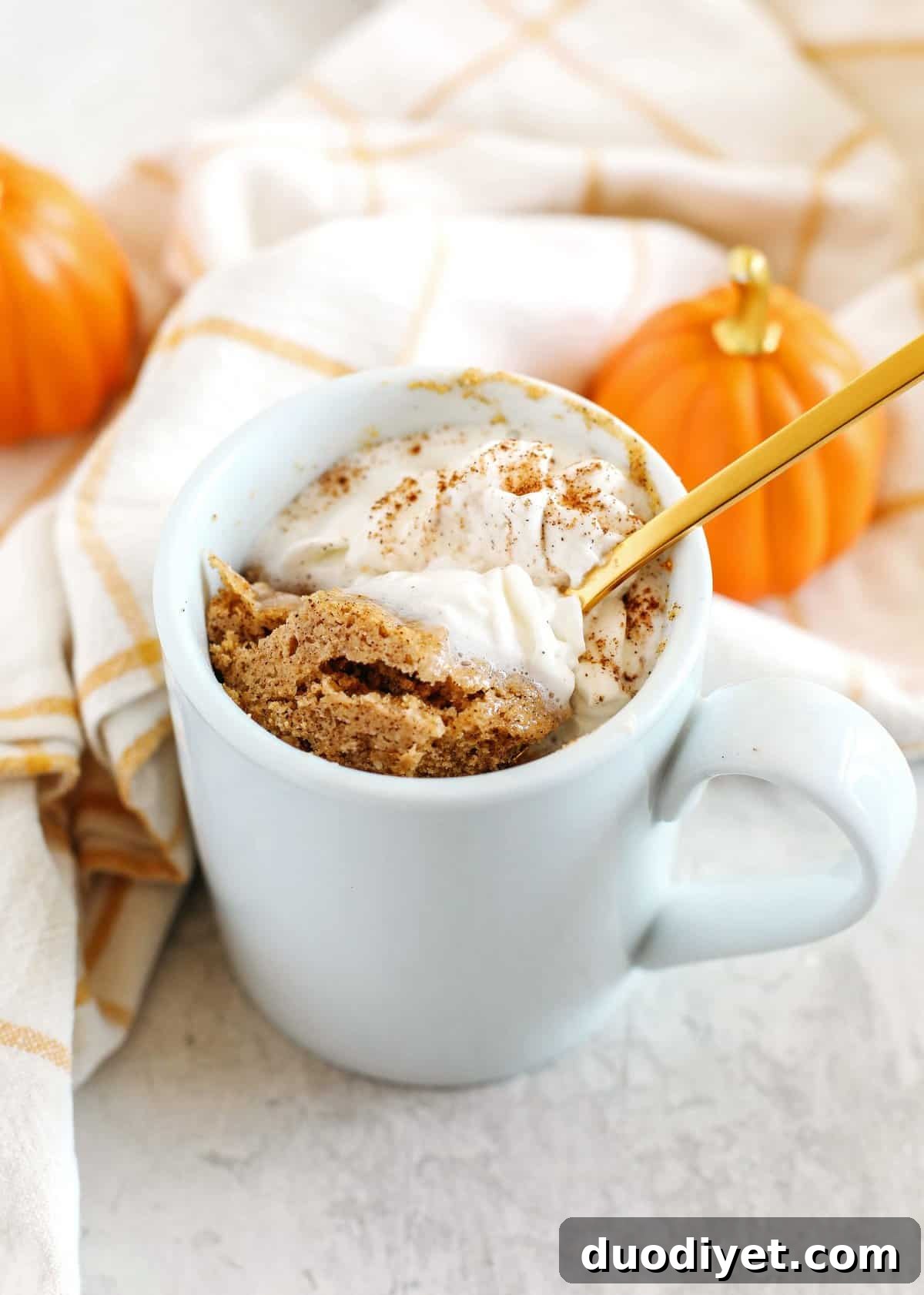 Close-up of Pumpkin Spice Mug Cake texture