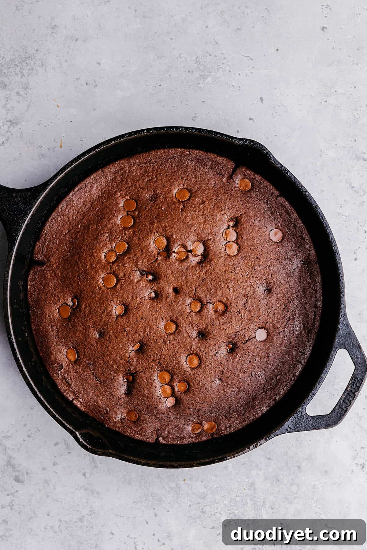 The absolute BEST Flourless Chocolate Chip Brownies that are fudgy, moist and delicious!