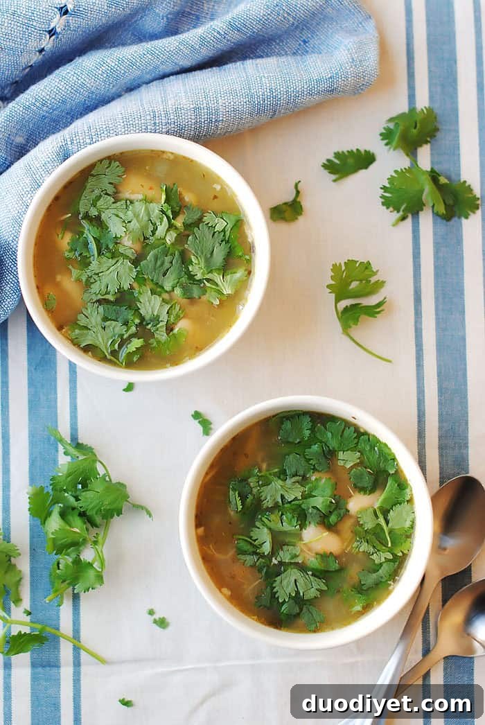Slow Cooker Chicken and Green Chile Soup | Eat Yourself Skinny